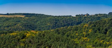 Dinyester Kanyonu 'nun dik kıyılarında bir orman manzarası, Ulusal Doğa Parkı Dnister Kanyonu, Ternopil Bölgesi, Ukrayna