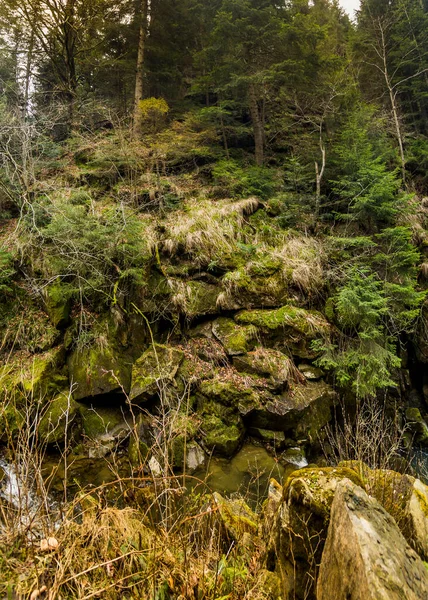 Ett Karpatiskt Landskap Nära Kamianka Floden Skole Beskids National Nature — Stockfoto