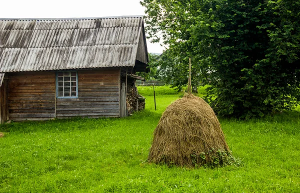 カルパティアのウクライナ人の村の裏庭にある干し草 — ストック写真