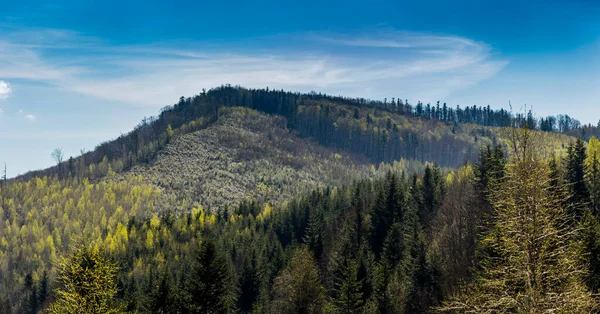 Montanhas Cárpatas Skole Beskids National Nature Park Região Lviv Ucrânia — Fotografia de Stock