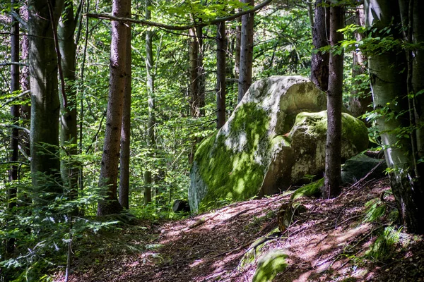 Detail Velkého Kamene Karpatském Lese Národní Přírodní Park Skole Beskydy — Stock fotografie