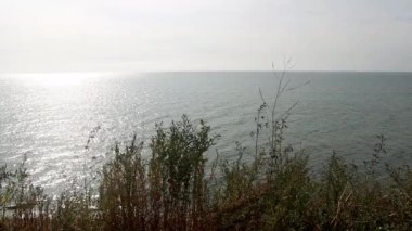 Karadeniz Sahili 'ndeki çimenlerin ve bitkilerin ve arka plandaki deniz suyunun yakın plan görüntüleri.