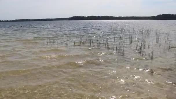 Jezioro Pisochne Grupy Jezior Szatskich Narodowy Park Przyrodniczy Szatsk Wołyń — Wideo stockowe