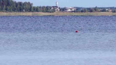 Svitiaz Gölü. Shatskyi Gölü 'nün en büyük gölü. Ukrayna' nın Volyn bölgesindeki Shatsk Ulusal Doğal Parkı.