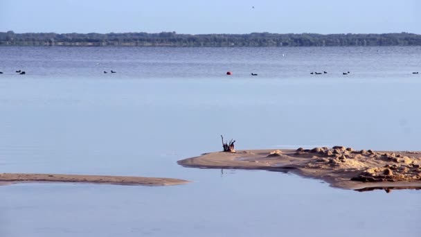 Озеро Свитязь Крупнейшая Группа Шацких Озер Шацкий Национальный Природный Парк — стоковое видео