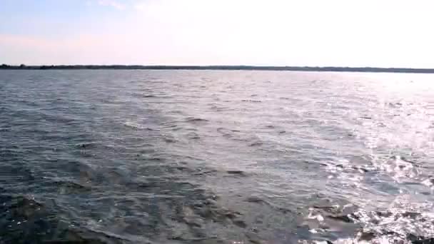Озеро Люцимер Группы Шацких Озер Шацкий Национальный Природный Парк Волынская — стоковое видео