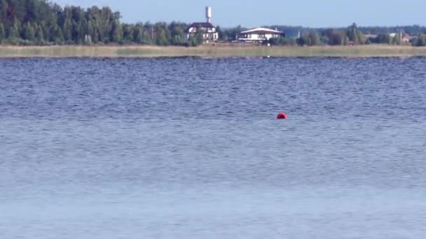 Een Svitiaz Meer Een Grootste Van Shatskyi Meren Groep Shatsk — Stockvideo