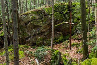 1945 'te Ukraynalı isyancı ordu UPA' nın beş savaşçısının öldüğü yer olan Skole Beskids Ulusal Doğa Parkı, Ukrayna 'nın Lviv Bölgesi