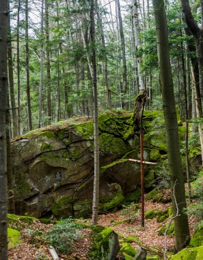 1945 'te Ukraynalı isyancı ordu UPA' nın beş savaşçısının öldüğü yer olan Skole Beskids Ulusal Doğa Parkı, Ukrayna 'nın Lviv Bölgesi