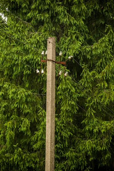 Primer Plano Del Poste Hormigón Con Cables Eléctricos — Foto de Stock