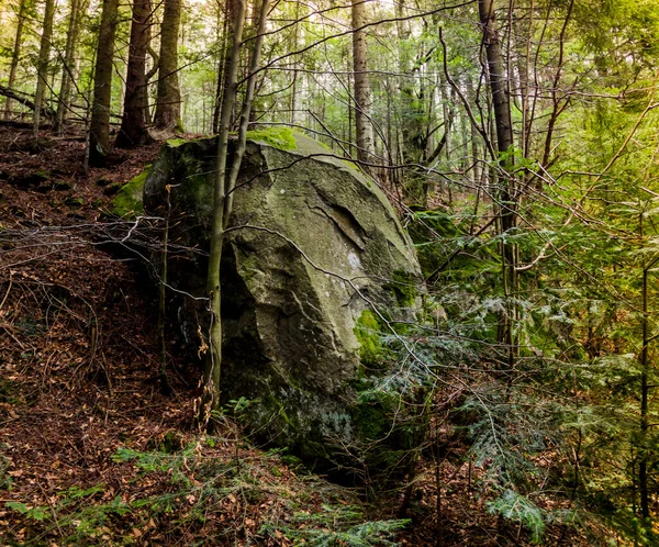 Pedra Grande Floresta Lugar Morte Lutador Upa Exército Insurgente Ucraniano — Fotografia de Stock