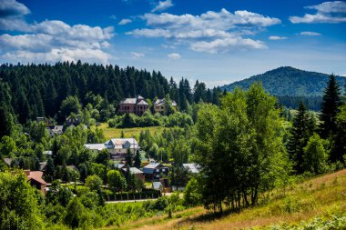 Karpatlar, Lviv Bölgesi, Ukrayna 'daki Spruse Ormanı yakınlarındaki vadide bazı kulübeler ve bitmemiş evler