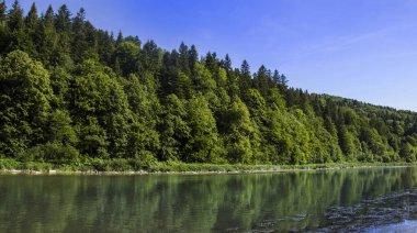 Karpat Dağları 'ndaki Striy Nehri, Skole Beskids Ulusal Doğa Parkı, Ukrayna' nın Lviv Bölgesi
