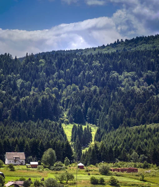 Krajobraz Leśny Karpatach Narodowy Park Przyrody Skole Beskids Obwód Lwowski — Zdjęcie stockowe