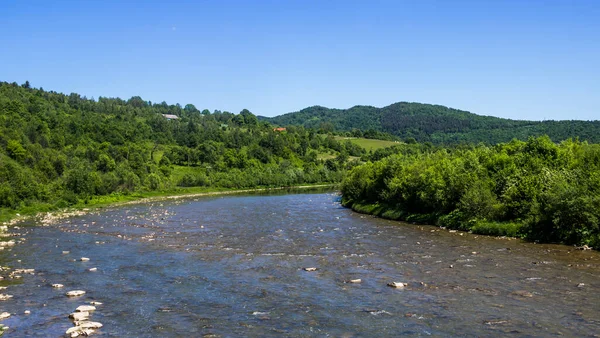 Karpat Dağları 'ndaki Striy Nehri, Skole Beskids Ulusal Doğa Parkı, Ukrayna' nın Lviv Bölgesi