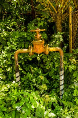 Evin yakınındaki yeşil yapraklı vanalı eski sarı gaz borusu.