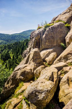 Tustan kalesinin yerine kayalar - Ukrayna 'nın Lviv bölgesindeki Skole Beskids Ulusal Doğa Parkı' ndaki bir ortaçağ uçurum kenti, arkeolojik ve doğal anıt