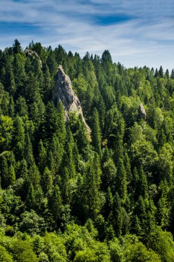 Tustan kalesinin yerine kayalar - Ukrayna 'nın Lviv bölgesindeki Skole Beskids Ulusal Doğa Parkı' ndaki bir ortaçağ uçurum kenti, arkeolojik ve doğal anıt