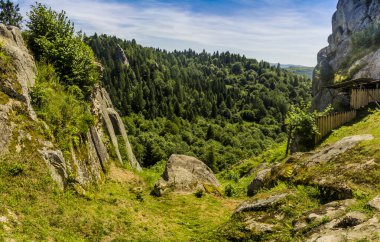 Tustan kalesinin yerine kayalar - Ukrayna 'nın Lviv bölgesindeki Skole Beskids Ulusal Doğa Parkı' ndaki bir ortaçağ uçurum kenti, arkeolojik ve doğal anıt