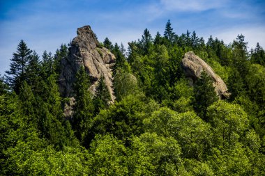 Tustan kalesinin yerine kayalar - Ukrayna 'nın Lviv bölgesindeki Skole Beskids Ulusal Doğa Parkı' ndaki bir ortaçağ uçurum kenti, arkeolojik ve doğal anıt