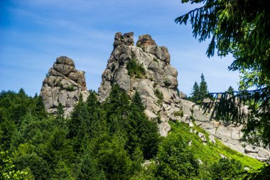Tustan kalesinin yerine kayalar - Ukrayna 'nın Lviv bölgesindeki Skole Beskids Ulusal Doğa Parkı' ndaki bir ortaçağ uçurum kenti, arkeolojik ve doğal anıt