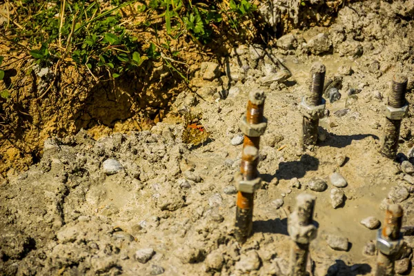 Close Painted Lady Butterfly Vanessa Cardui Concrete Construction Site — Fotografia de Stock