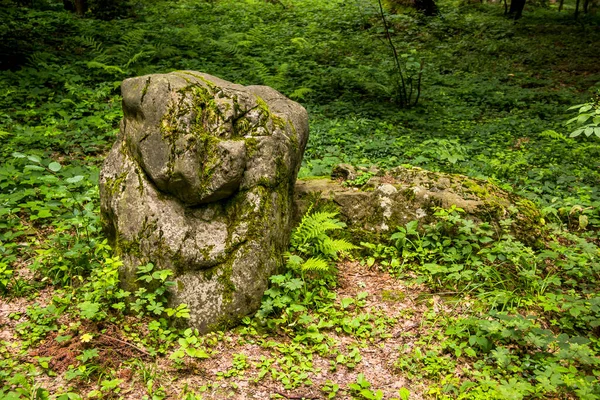 Close Big Stone Covered Moss Ukrainian Carpathian — Stockfoto