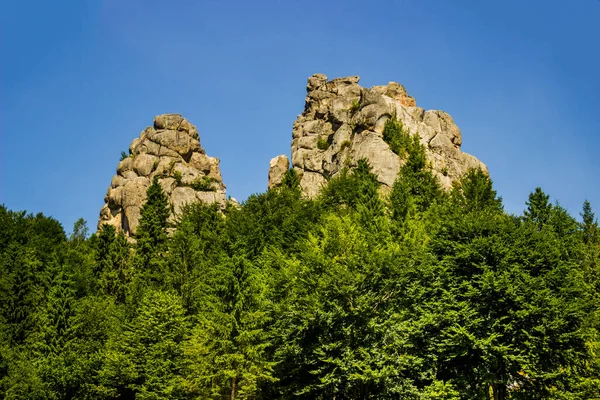 Tustan kalesinin yerine kayalar - Ukrayna 'nın Lviv bölgesindeki Skole Beskids Ulusal Doğa Parkı' ndaki bir ortaçağ uçurum kenti, arkeolojik ve doğal anıt