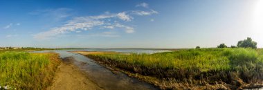 Deniz kenarındaki bozkırda tuz gölü manzarası, Azov denizi, Ukrayna