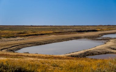 a shallow salty lagoon near the sea on the Arabat spit on the Sea of Azov, Ukraine