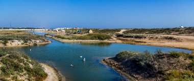 Ukrayna 'nın Azov Denizi' ne Arapların tükürdüğü deniz kenarında sığ, tuzlu bir göl.
