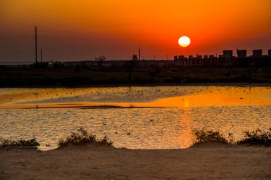 Deniz kenarındaki bozkırda tuz gölü manzarası, Azov denizi, Ukrayna