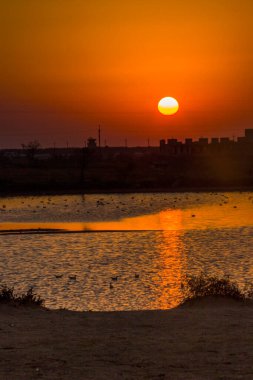 Deniz kenarındaki bozkırda tuz gölü manzarası, Azov denizi, Ukrayna