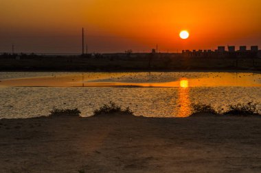 Deniz kenarındaki bozkırda tuz gölü manzarası, Azov denizi, Ukrayna