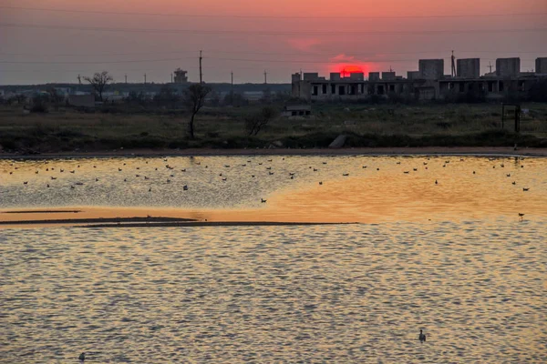 Deniz kenarındaki bozkırda tuz gölü manzarası, Azov denizi, Ukrayna