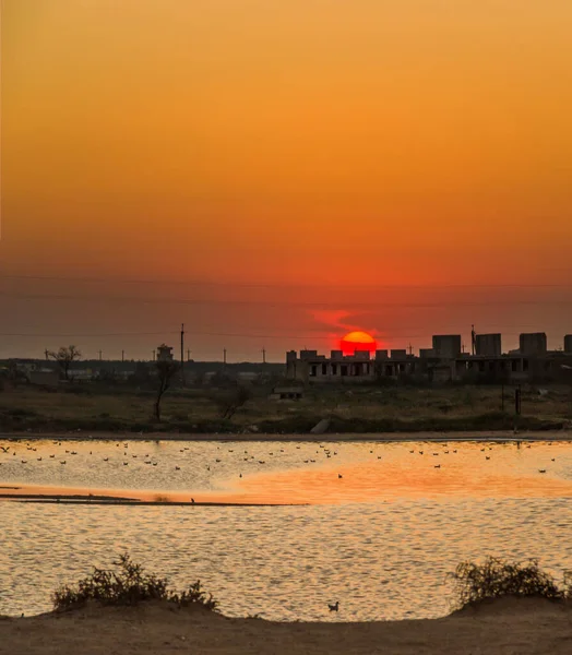 Deniz kenarındaki bozkırda tuz gölü manzarası, Azov denizi, Ukrayna
