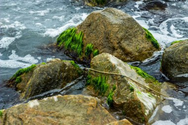 Deniz sularındaki büyük taşlara yakın çekim, Azov Denizi, Ukrayna