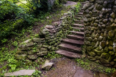 Ormandaki eski bir taş merdivenin yakın çekimi.