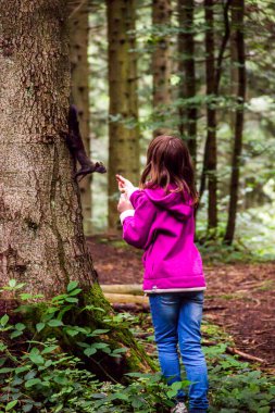 Ukrayna 'daki Skole Beskids Ulusal Doğa Parkı' nda bir karpatı (Sciurus vulgaris carpathicus) besleyen bir kız.