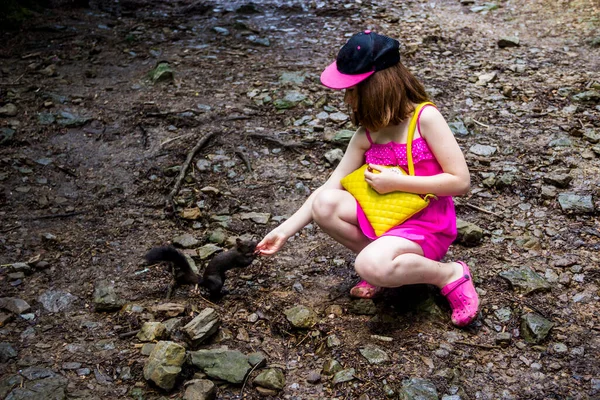 Girl Feeding Carpathian Squirell Sciurus Vulgaris Carpathicus Forest Skole Beskids — Fotografia de Stock