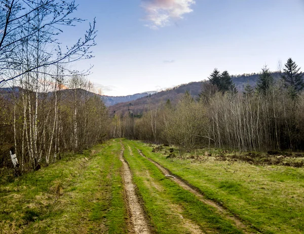 Karpat dağlarının bir orman yolu ve manzarası ve arka planda Parashka tepesi, Skole Beskids Ulusal Doğa Parkı, Ukrayna 'nın Lviv bölgesi
