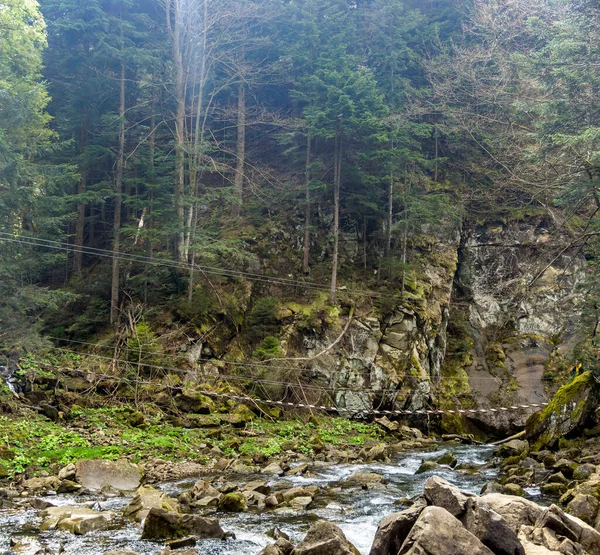 Suspension Footbridge Kamianka River Kamianetskyi Waterfall Skole Beskids National Nature — стокове фото