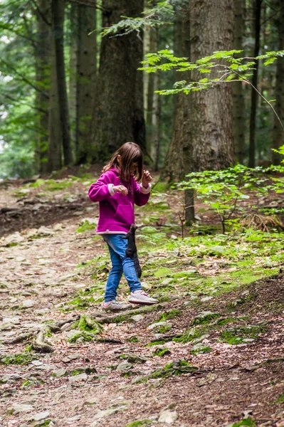 Ukrayna 'daki Skole Beskids Ulusal Doğa Parkı' nda bir karpatı (Sciurus vulgaris carpathicus) besleyen bir kız.