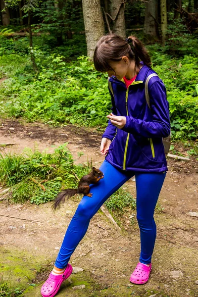 Dziewczyna Karmiąca Karpackiego Giermka Sciurus Vulgaris Carpathicus Lesie Narodowy Park — Zdjęcie stockowe