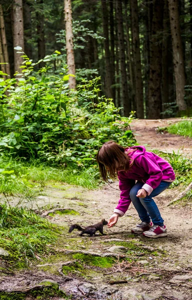 Dziewczyna Karmiąca Karpackiego Giermka Sciurus Vulgaris Carpathicus Lesie Narodowy Park — Zdjęcie stockowe