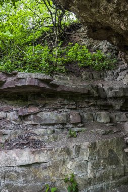 Dnister Nehri 'nin dik kayalık kıyısında jeolojik deri dökülmesi, Ukrayna' nın Ternopil bölgesinde Ulusal Doğa Parkı Dnister Kanyonu.