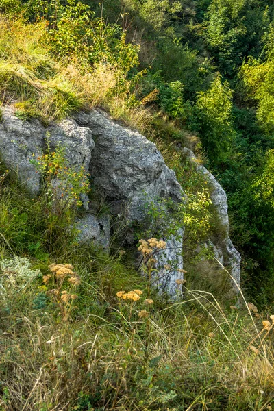 ウクライナのテルノーピル州 国立自然公園ディスターキャニオンの岩の閉鎖 — ストック写真
