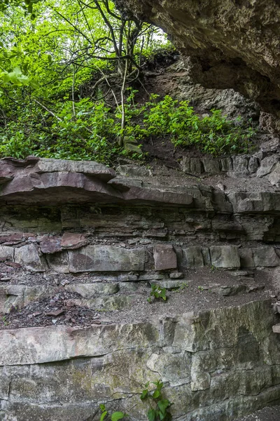 Dnister Nehri 'nin dik kayalık kıyısında jeolojik deri dökülmesi, Ukrayna' nın Ternopil bölgesinde Ulusal Doğa Parkı Dnister Kanyonu.