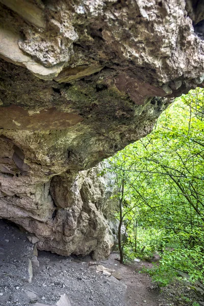 Gros Plan Rocher Avec Grottes Sur Parc Naturel National Dnister — Photo