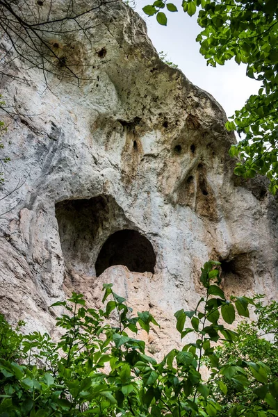 Ukrayna 'nın Ternopil bölgesindeki Ulusal Doğa Parkı Dnister Kanyonu' nda mağaraları olan kayalara yakın çekim